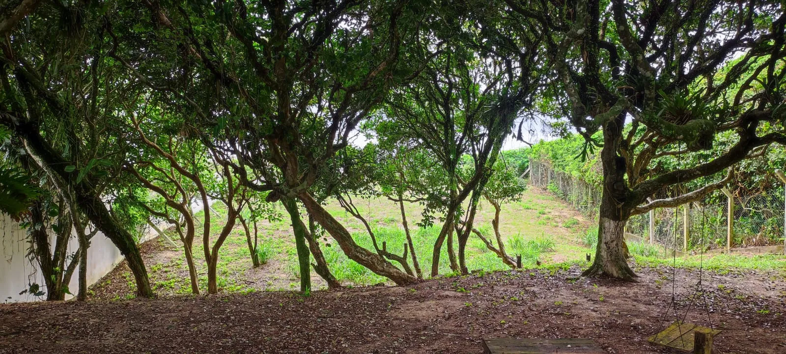 Terreno à venda em Praia do Estaleiro, Balneário Camboriú, foto 3